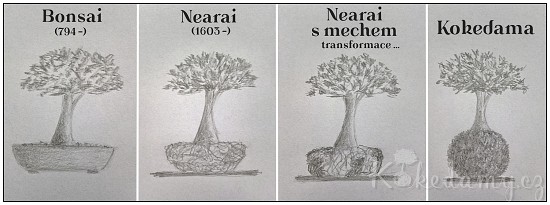 Historie kokedam_co je kokedama