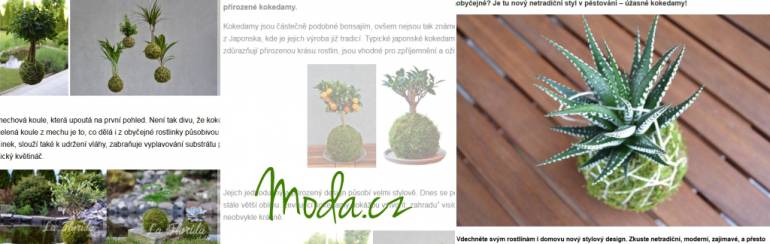 Moda.cz