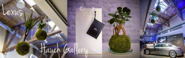 Lexus – Hauch Gallery
