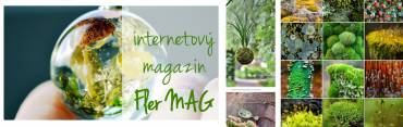 Internetový magazín Fler MAG