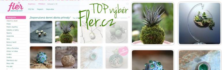 Fler.cz – Top výběr