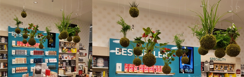 ml.-boleslav.jpg