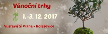 Vánoční trhy na Výstavišti 2017
