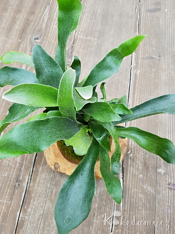 20180423_145249.jpg