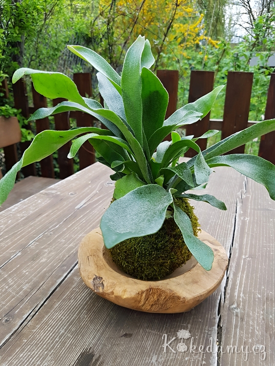 20180423_145349.jpg