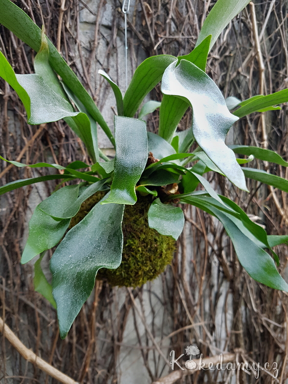 20190410_171325.jpg