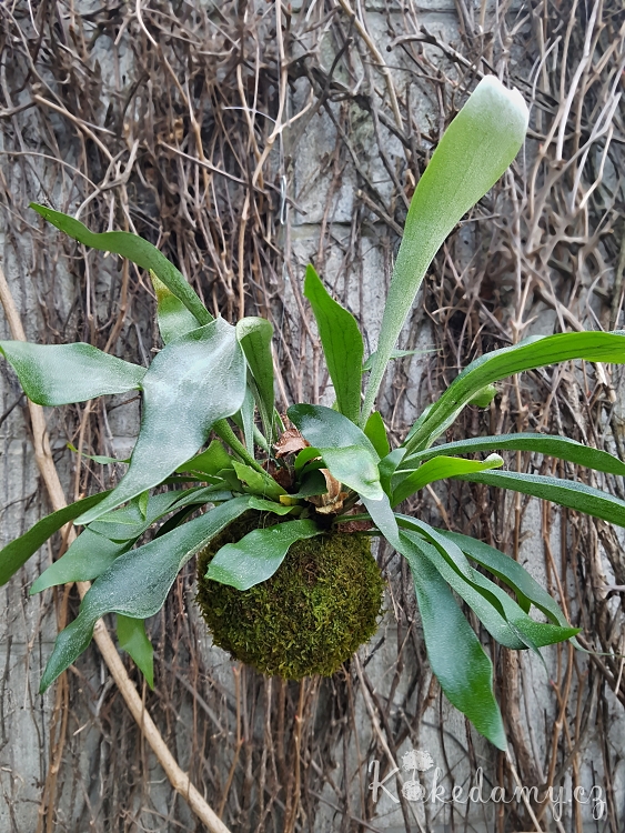 20190410_171345.jpg