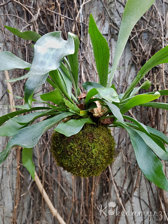 20190410_171352.jpg