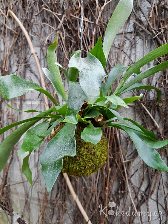 20190410_171834.jpg