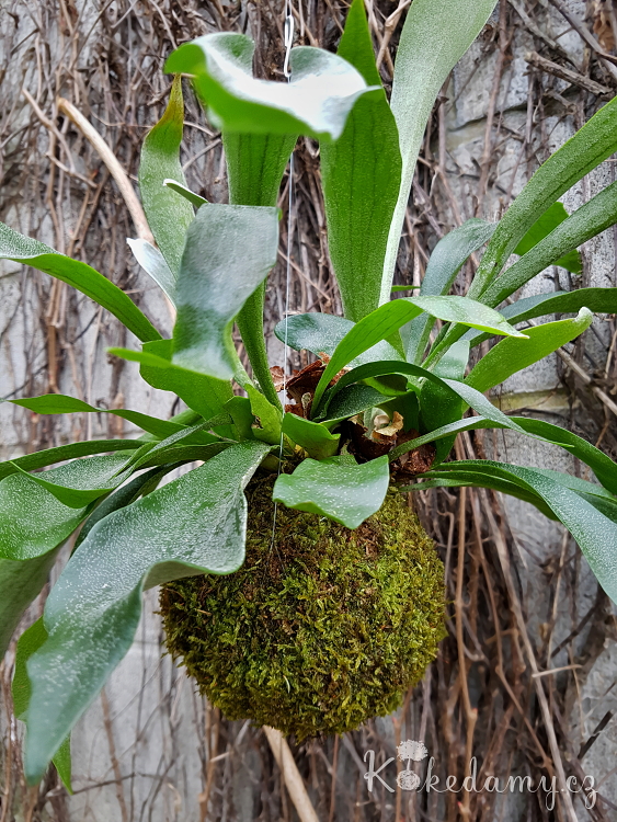 20190410_171836.jpg