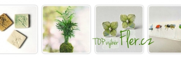 Zelená kokedama na titulce Fleru