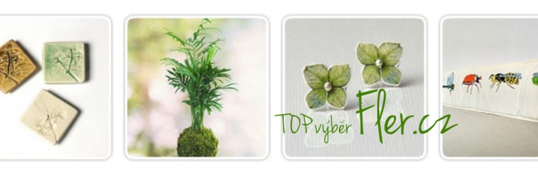 Zelená kokedama na titulce Fleru