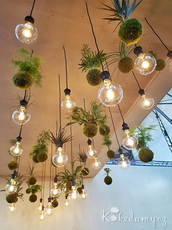 20190403_124523-1.jpg