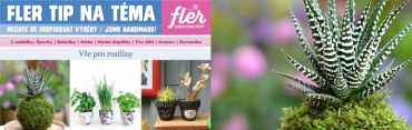 Fler newsletter – Tip na téma „Vše pro rostliny“