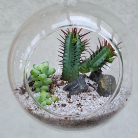 skleněné aerárium, 8 cm