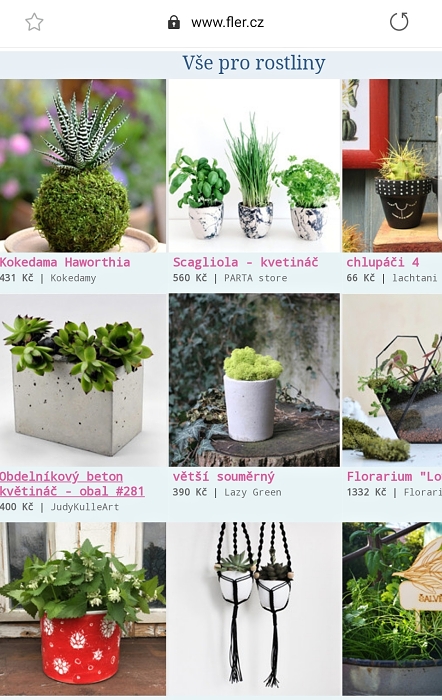 kokedama-Fler-tip_02.jpg