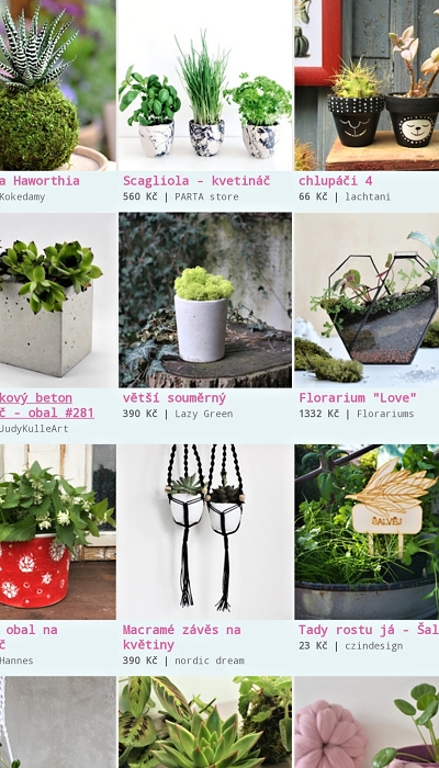 kokedama-Fler-tip_03.jpg
