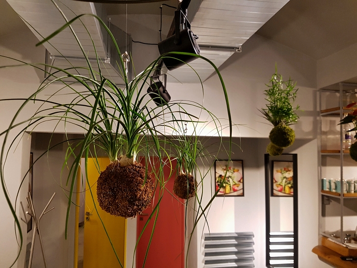 Bistro_Kokedamy_02.jpg