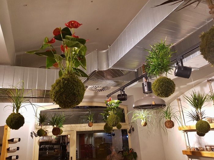 Bistro_Kokedamy_03.jpg