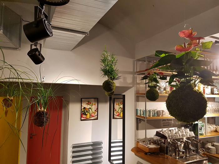 Bistro_Kokedamy_05.jpg