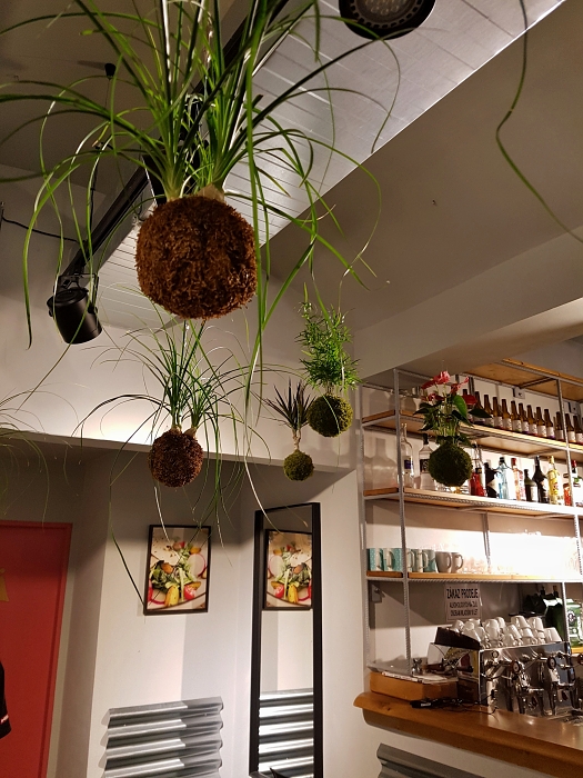 Bistro_Kokedamy_06.jpg