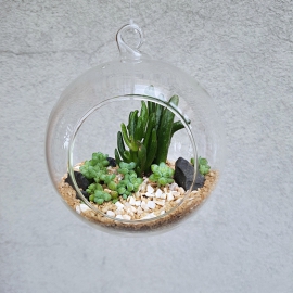 skleněné aerárium, 10 cm