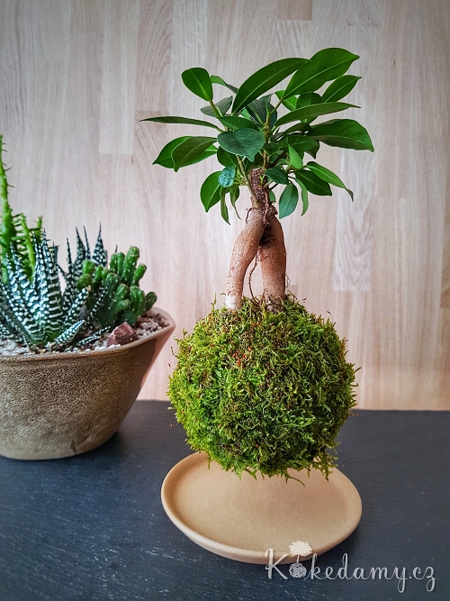 20190608_182351-01.jpeg