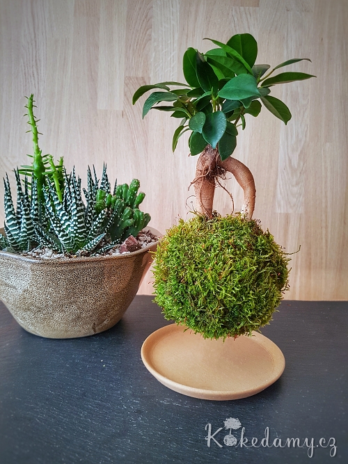 20190608_182409-01.jpeg