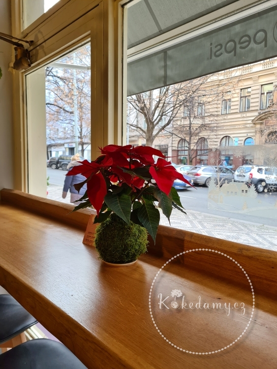 20201204_124548.jpg
