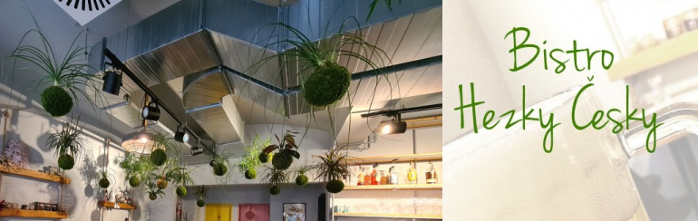 Revitalizace kokedam pro Bistro